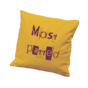 a gold most patted pet cushion